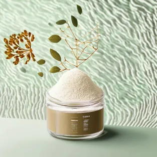 L-Theanine Powder with Ashwagandha: A Stress-Focused Blend