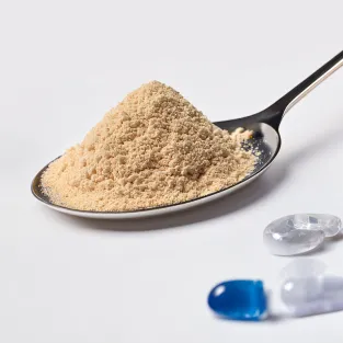 Understanding Phosphatidylserine Powder Manufacturing Processes