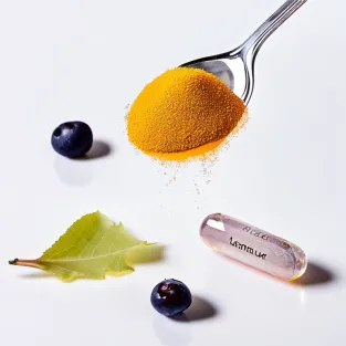 Phosphatidylserine Powder in Brain Health Gummies and Capsules