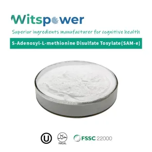 Phosphatidylserine Powder for Senior Nutrition Products