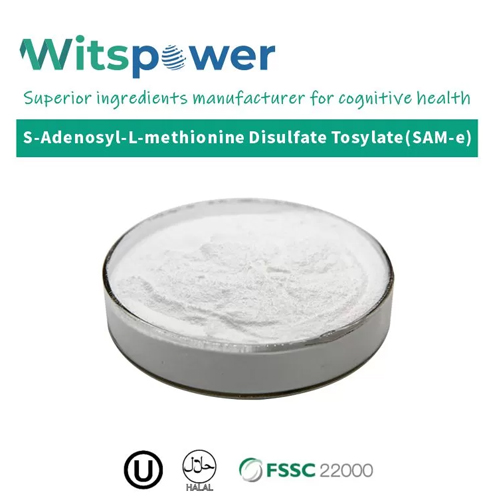 SAMe (S-Adenosyl-L-methionine Disulfate Tosylate)