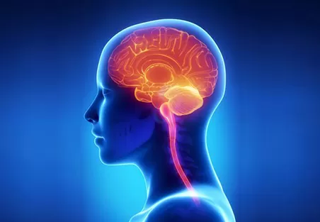 Six Steps to Cognitive Health