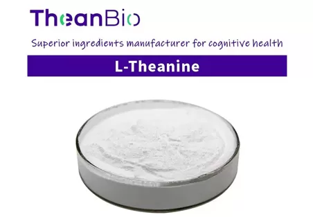 What Are the Benefits of Taking L-Theanine? What Are the Benefits of Taking L-Theanine?