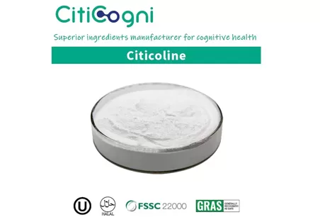 How to Maintain Cognitive Health?