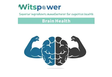 How Effective is Citicoline?