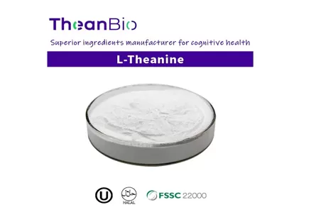 A Guide To The Best Nootropics A Guide To The Best Nootropics