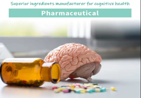 How to Evaluate Citicoline How to Evaluate Citicoline