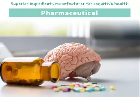 How to Evaluate Citicoline