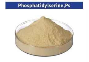 How Phosphatidylserine Supports Cognitive Function How Phosphatidylserine Supports Cognitive Function