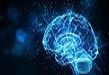Brain Health Revolution: Key Ingredients Redefining Cognitive Wellness Market