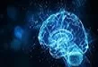 Brain Health Revolution: Key Ingredients Redefining Cognitive Wellness Market